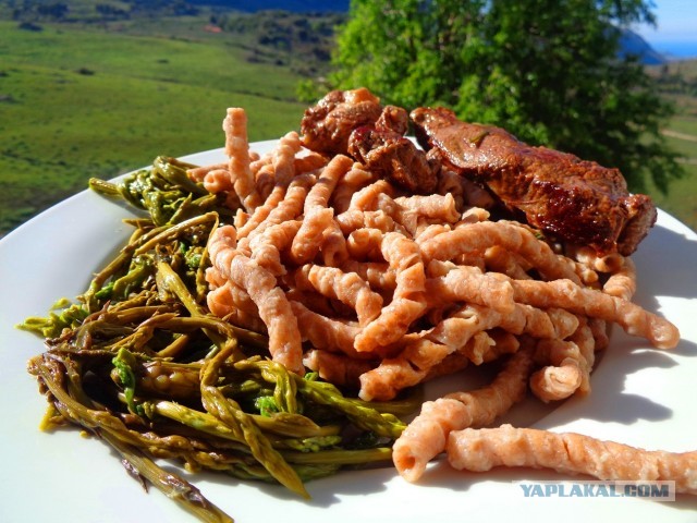 Лапша лугового флота свободного выгула