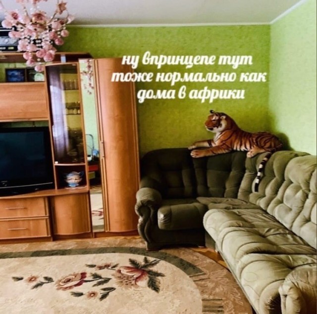 Бредзона 05.12.20