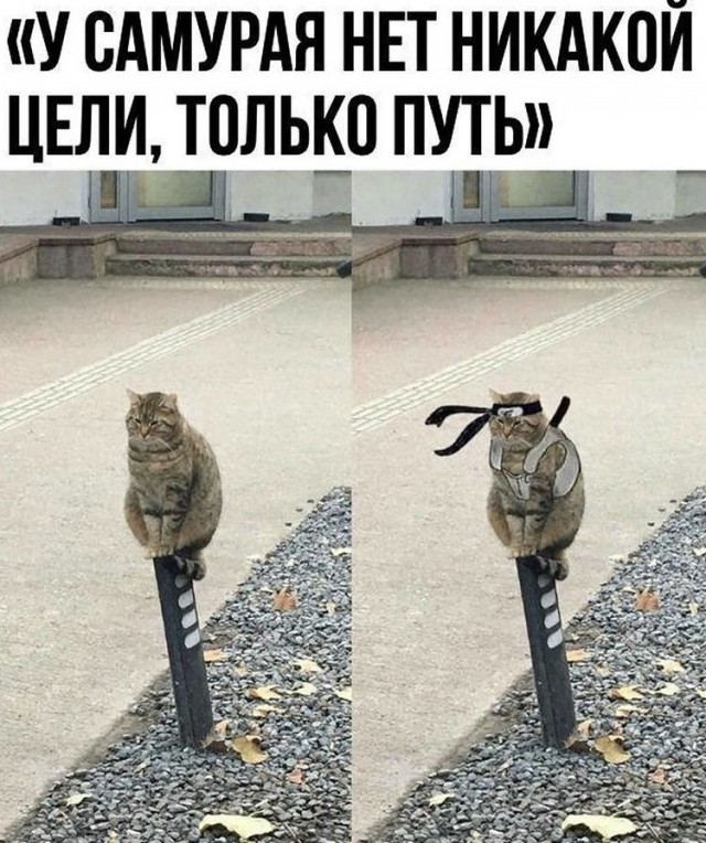 Немного практической магии