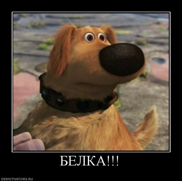 Бельчонок забавляется?