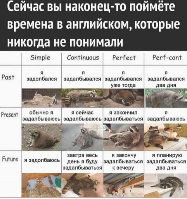 Всяческие картинки