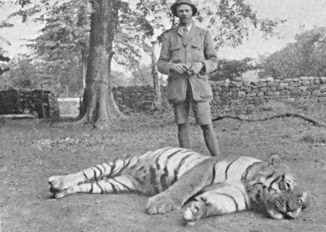 Людоеды из Цаво: кровожадная история самого знаменитого в истории противостояния между человеком и львом