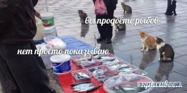 Интернет-приятель дочери хочет у нас поужинать. Я против