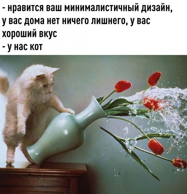 Так себе картинки 10.09.21