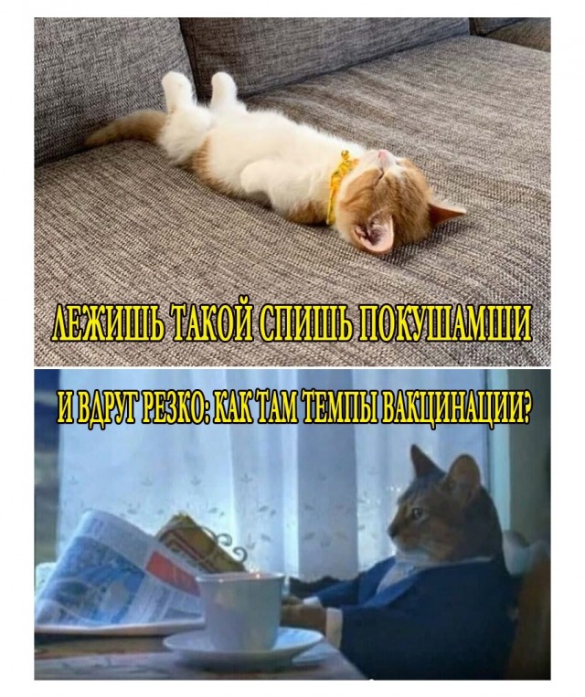 Здесь будет Петербург