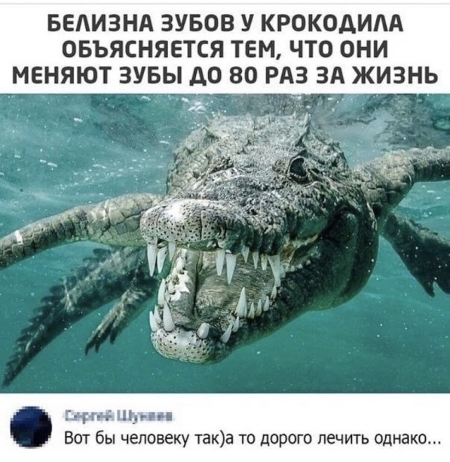 Так себе картинки 05.10.21