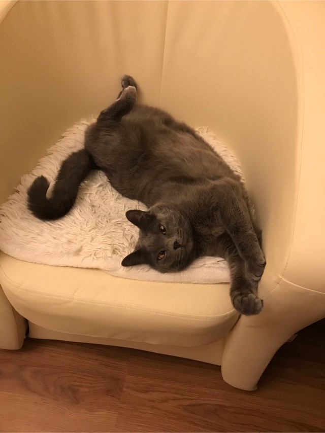 Ну, понеслась!