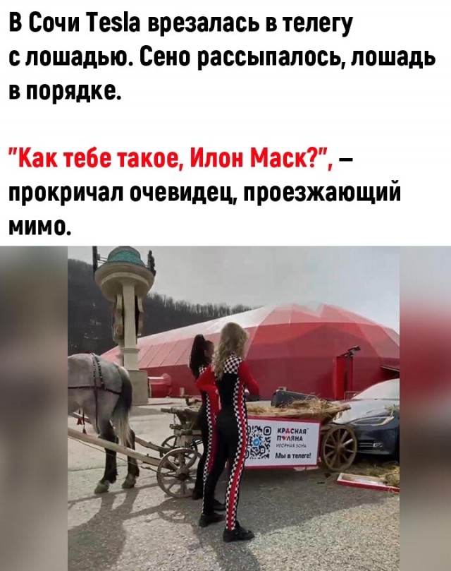 Так себе картинки 03.04.22