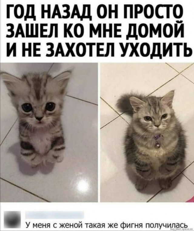 Картинки 21.06.22