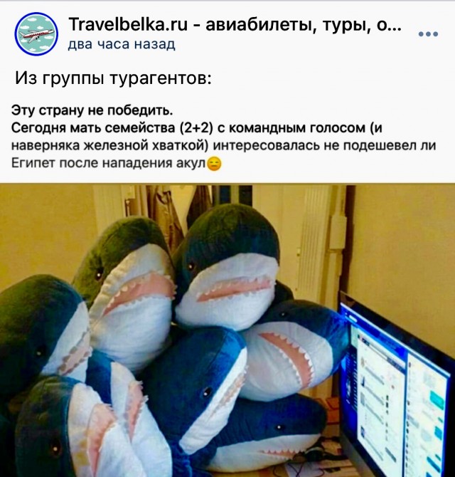 Пандемия съехавших крыш - разновидности болезни. Россия и мир. Часть 37