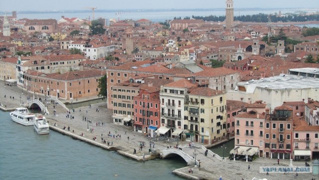 Любовь с первого взгляда