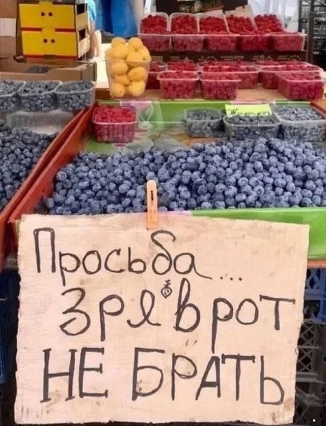 "Живём мы, алиментщицы, в свое удовольствие"