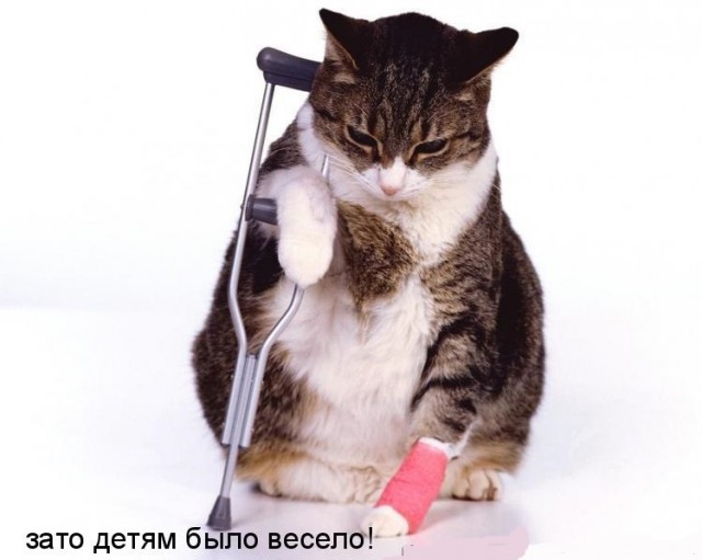 Гости с детьми