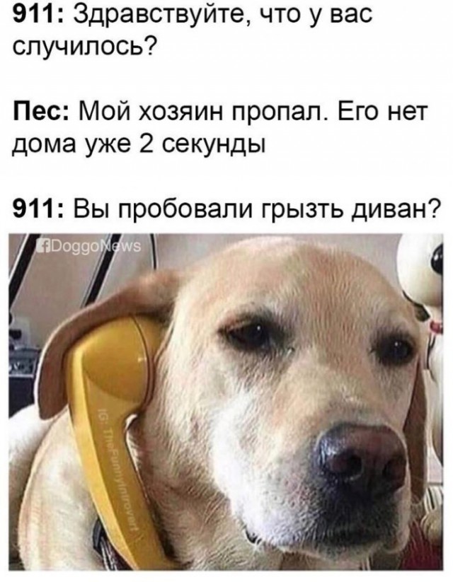 Так себе картинки 10.09.22