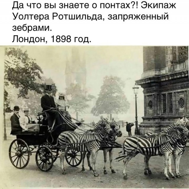 Понты второй половины 20-го века