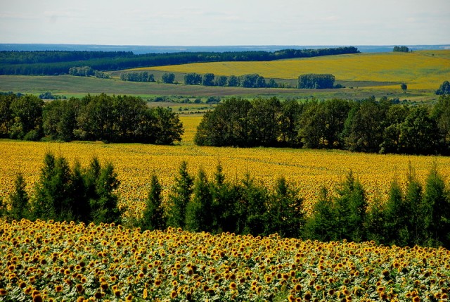 Путешествие на ВАЗе