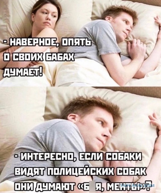 Весёлый полтишок 30.11.22