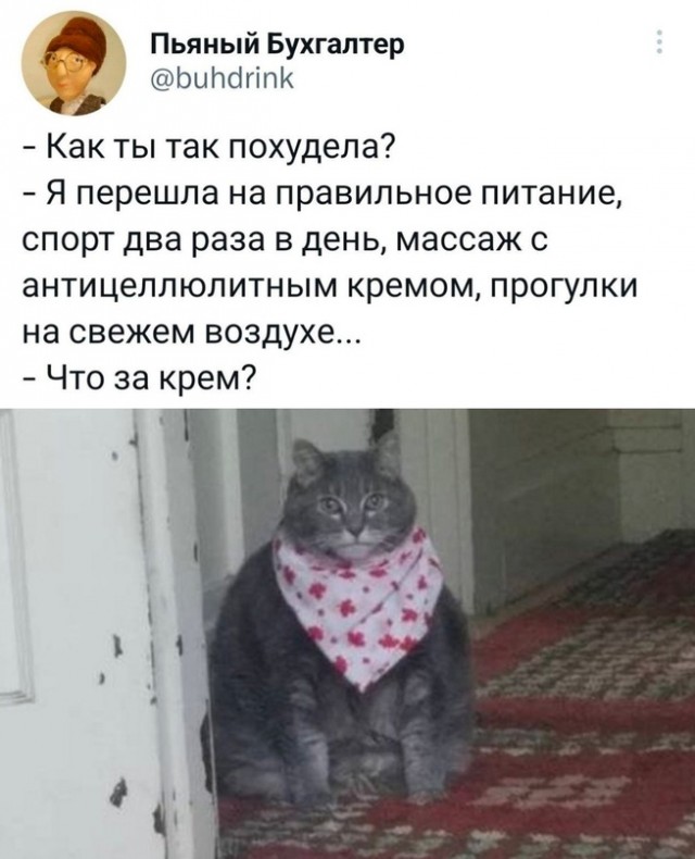 Весёлый полтишок 03.04.23