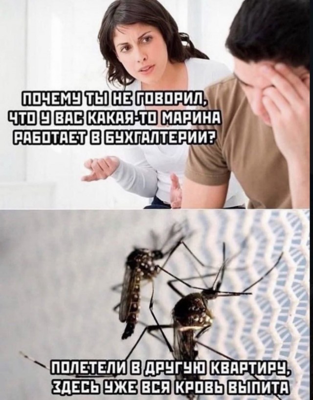 Подборка картинок 03.05.2023