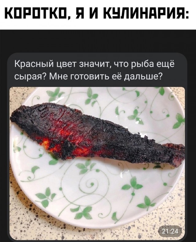 Весёлый полтишок 08.07.23