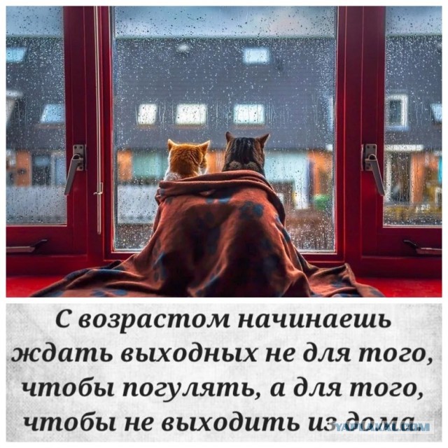 Как быть мужьям, чьи жены - "непьющие алкоголички"?⁠⁠