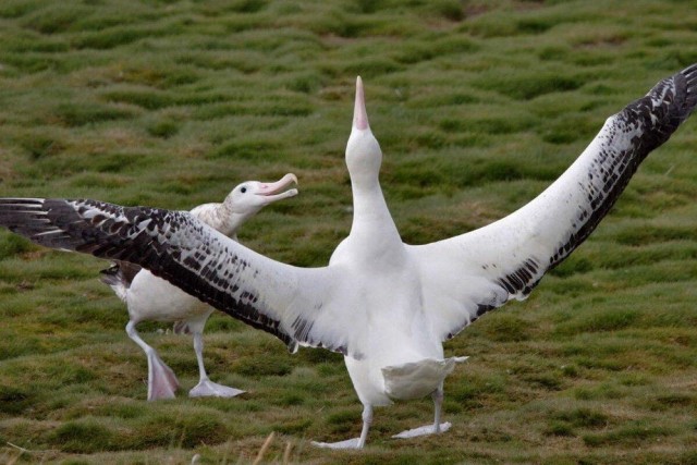 Фотосмесь 02.10.23