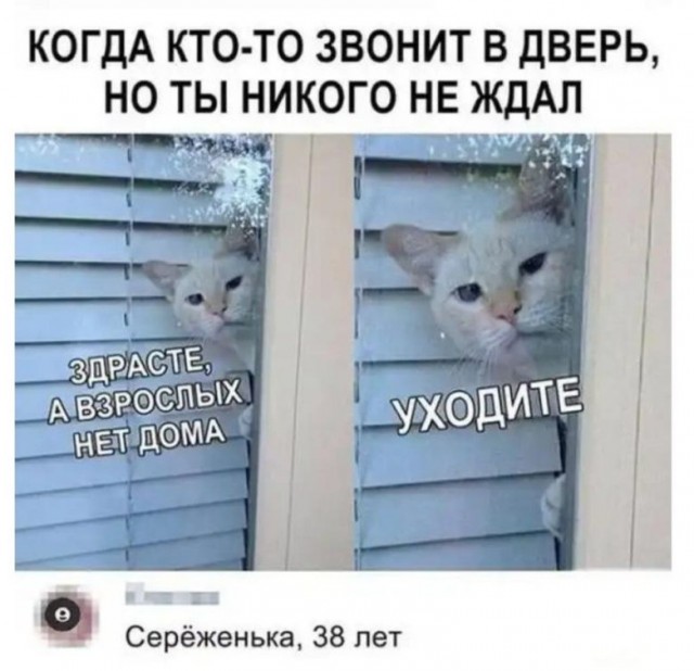 Забавные комментарии из социальных сетей (16.10.23)
