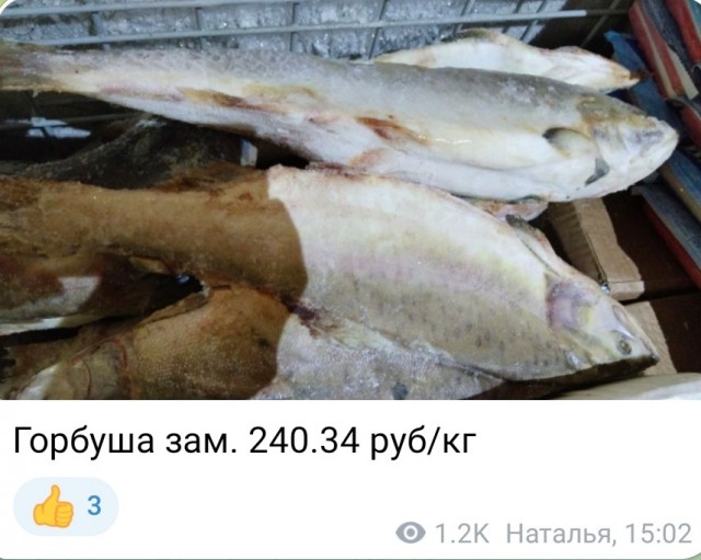 Красная икра по 200 рублей килограмм