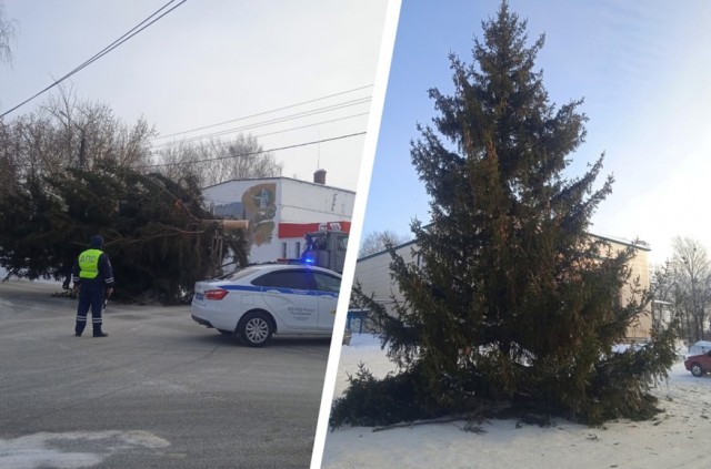 Законная кража!