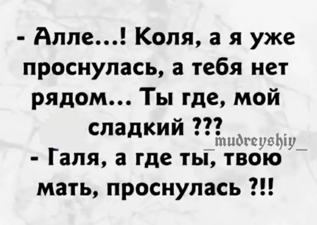 Тлидцать тли от 6 февраля