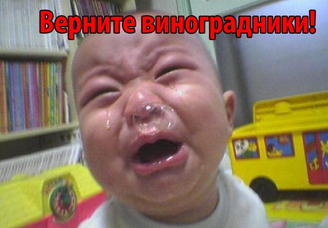 Медведев посочувствовал Франции из-за переноса визита Макрона в Киев и назвал его трусом