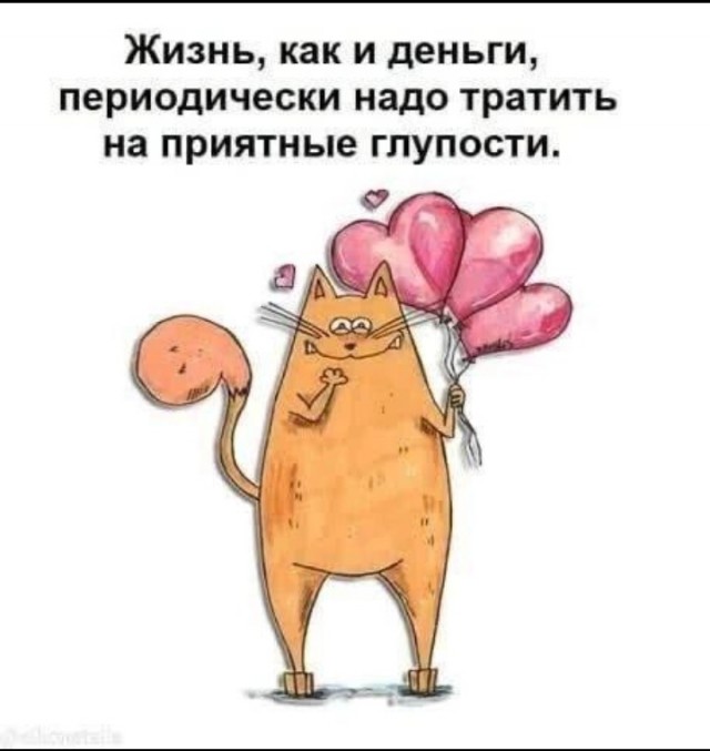 Жизнь домашнего приюта "Котоленд" 433