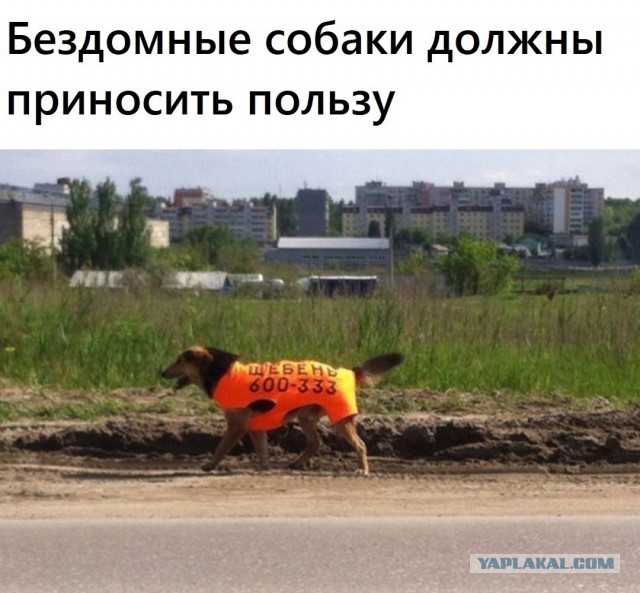 Эх,Артём…