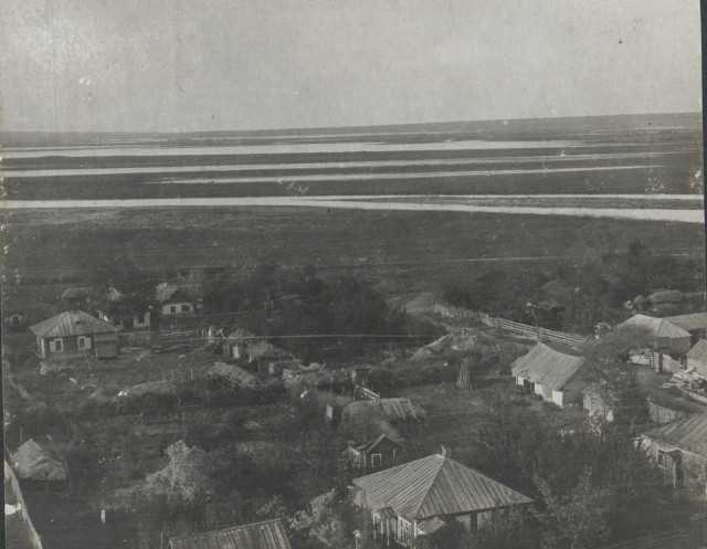1917-1920. Из архива генерала Антона Ивановича Деникина