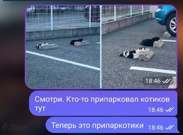 Завалялось тут случайно немного забавных картинок