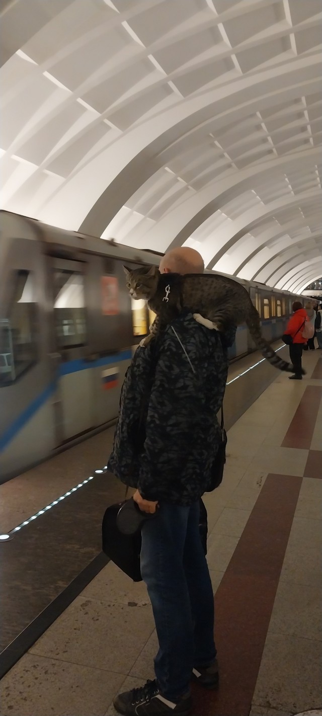 Сильный и независимый мужчина