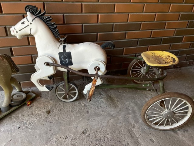 Редкий зверь