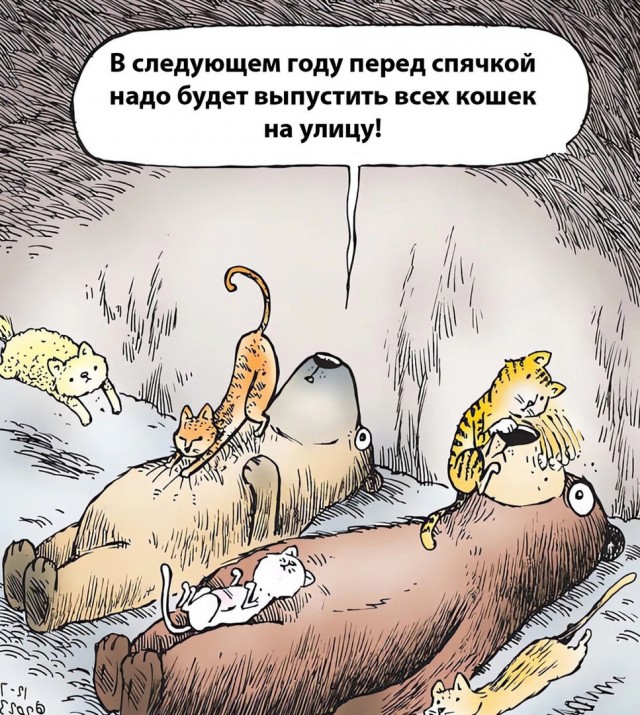 Так себе картинки 24.11.24