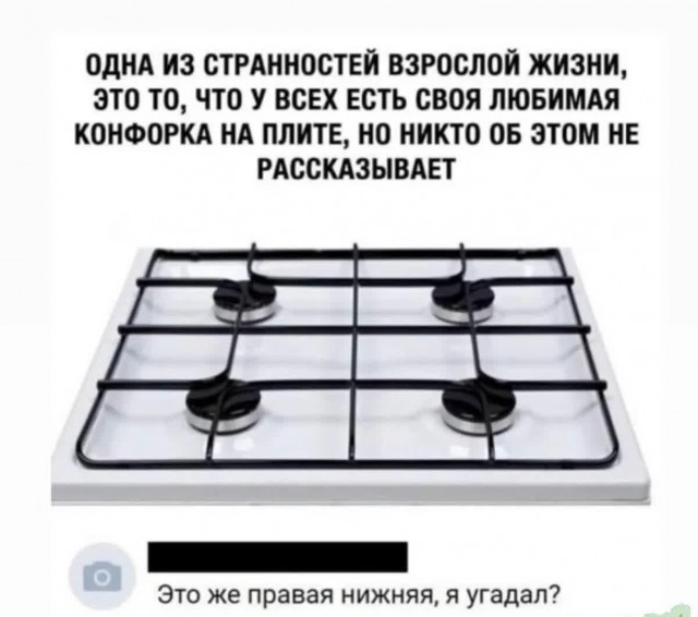 Немного забавных картинок от 22.12.24