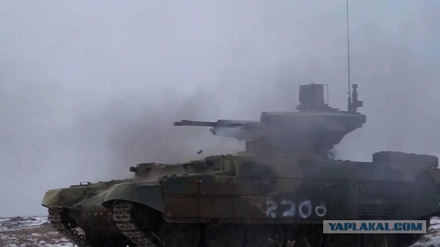 Облавы в Вязьме