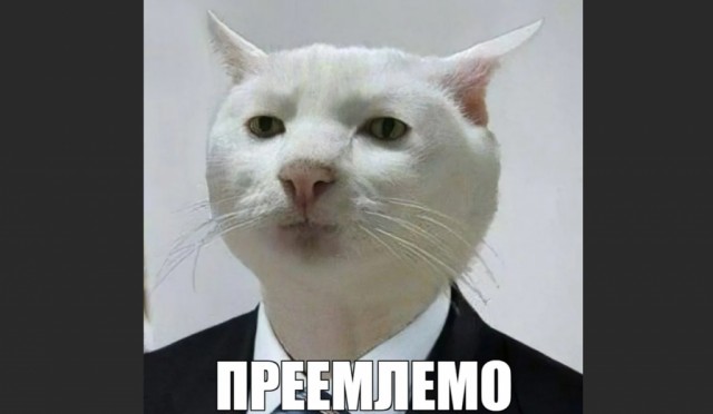 Если вы не понимали, зачем в пачках чипсов столько воздуха, то вот зачем