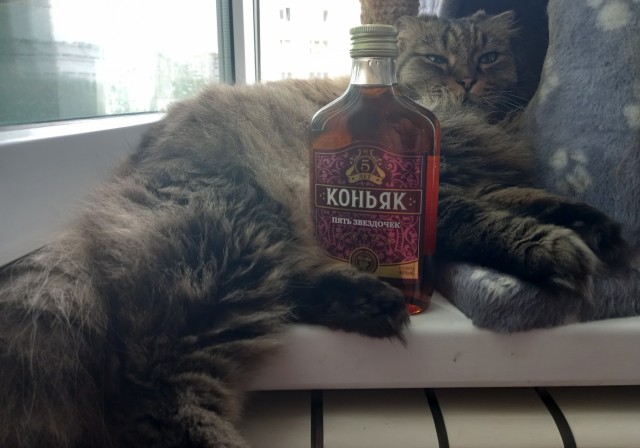 Его первый вторник