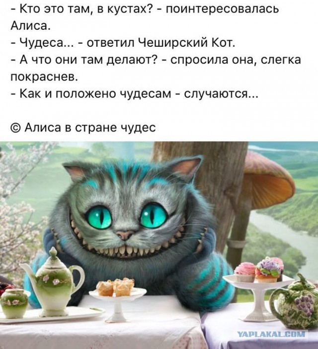 За секс в машине можно получить срок