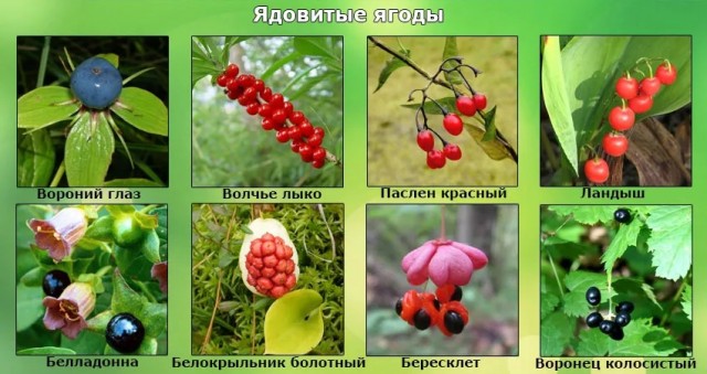 Кто это посмотрит,через 7 дней сам знает что будет..