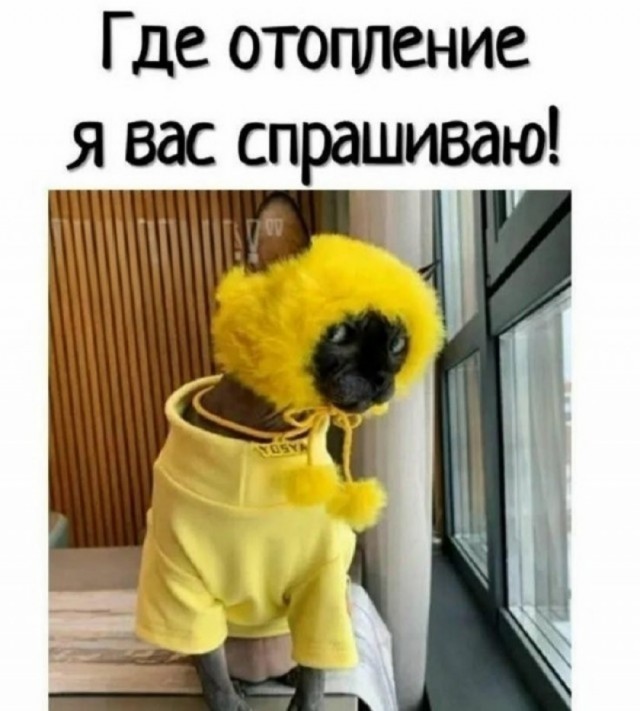 Так себе картинки 04.10.25