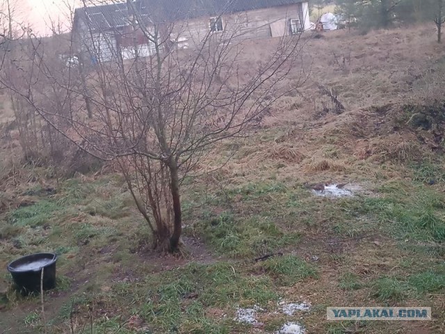 Жизнь домашнего приюта для котеек 567