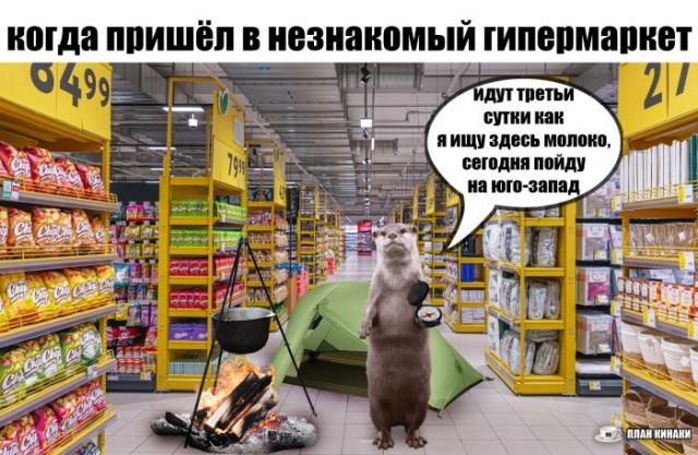 Картинки для деградации 157 (разной степени свежести)