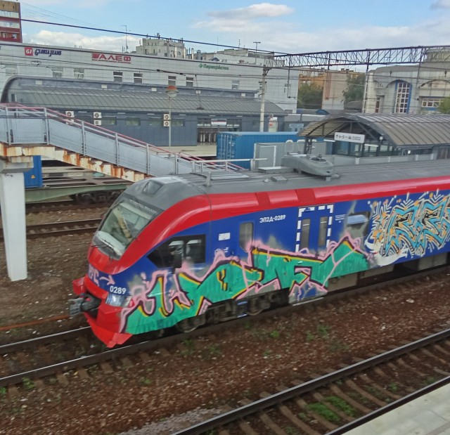 В Подмосковье транспортные полицейские с поличным задержали вандалов, изрисовавших вагоны электрички