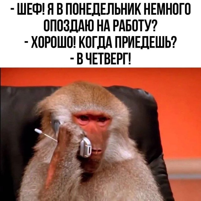 Картинки для деградации 189 (разной степени свежести)