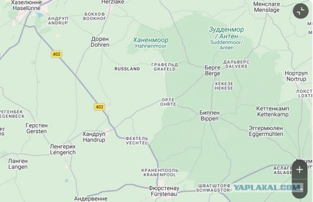 Мужика арестовали на 10 суток за свастику из сметаны.